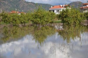 Tarım arazileri ve meyve bah&ccedil;eleri sular altında