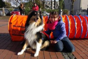 Bu k&ouml;pekler engellerin aşılmasına yardımcı oluyor