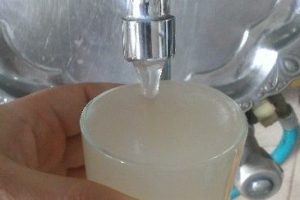 &Ccedil;eşmelerden su yerine &ccedil;amur akıyor