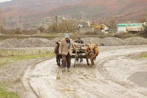 İki oğlunu trakt&ouml;r kazasında kaybeden baba...