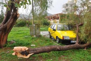 Yıldırım d&uuml;şt&uuml;, ağa&ccedil; otomobilin &uuml;zerine devrildi