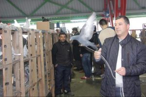Bursa'da otomobil fiyatına g&uuml;vercin