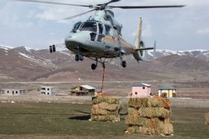Yaban hayvanlarına 515 ton yem