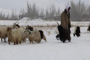 Kar Doğu'da yolları kapattı