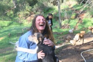 Kurtardığı k&ouml;pek i&ccedil;in İsko&ccedil;ya'dan geldi