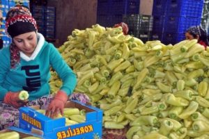 Rusya'daki k&ouml;t&uuml; gidiş T&uuml;rkiye'yi de vurdu