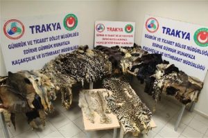 K&uuml;rk ka&ccedil;ak&ccedil;ılığına operasyon