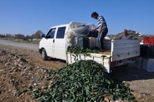 Satamayınca &ccedil;areyi d&ouml;kmekte buldu
