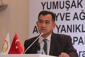 "T&uuml;rkiye'deki armut &uuml;retimin &uuml;&ccedil;te birini Bursa karşılıyor,fakat.."
