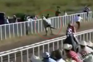 Sadece yarışı değil, bacağını da kaybetti