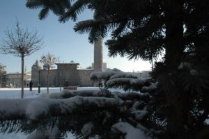 Sibirya soğukları dondurdu
