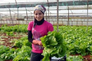 Suriyeliler Antalya'yı sevdi, gitmek istemiyorlar