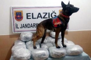 Kahraman '&Ccedil;ivi'den ka&ccedil;ış yok