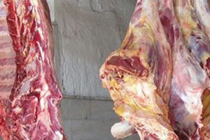 21 ton ka&ccedil;ak et ele ge&ccedil;irildi