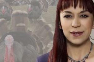 T&uuml;rkiye'de 500 bin hindi kesilecek