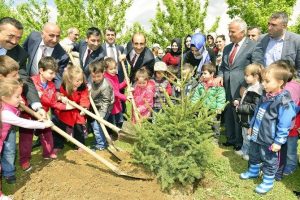 Yıldırım'da 2014 yılında 4 bin fidan dikildi