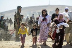 Kobani'de yaşam: Para yok, işe yaramıyor