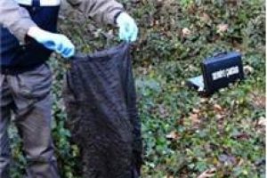 Ormanda insan kafatası ve kemikleri bulundu