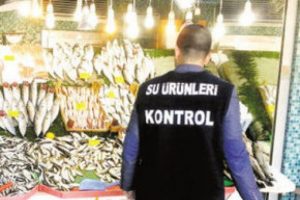 Kısa boylu 2 bin 375 kilo balığa el konuldu