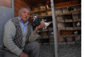 G&uuml;vercin beslemeye de ceza olur mu?