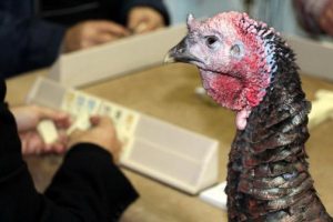 Okey turnuvasında b&uuml;y&uuml;k &ouml;d&uuml;l 'hindi'