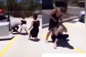 Kız kavgası! Erkekleri aratmadılar...