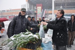 Bursa Orman İşletmesi &uuml;cretsiz fidan dağıttı!