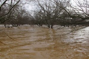 Menderes Nehri taştı, g&ouml;le d&ouml;nd&uuml;!