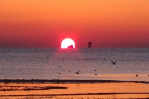 Silivri'de ''deniz &ccedil;ekildi'' iddiası