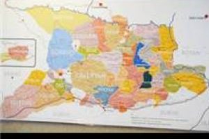 20 yıllık &ccedil;alışmayla ilk kez ortaya &ccedil;ıkarıldı