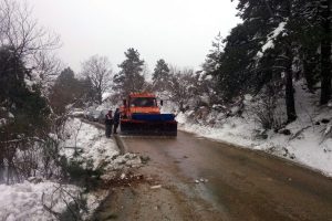 Devrilen ağa&ccedil; Uludağ yolunu trafiğe kapattı