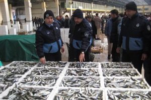 Zabıta balık denetimine &ccedil;ıktı