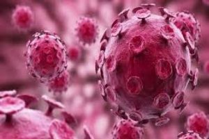 Bursa'da mers vir&uuml;s&uuml; ş&uuml;phelisi 3 kişi taburcu edildi