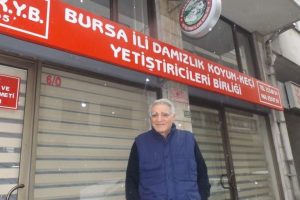 Bursa'da ağıllara kış bakımı