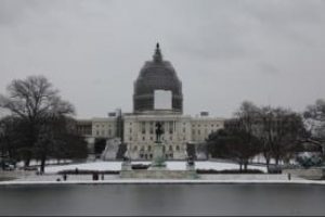 Washington beyaza b&uuml;r&uuml;nd&uuml;
