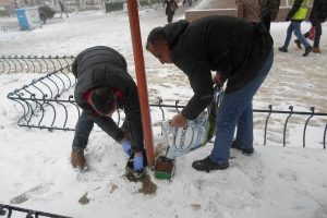 Sokak hayvanlarına belediye şevkati