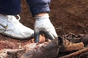 10 ceset, 11 kesik insan başı bulundu