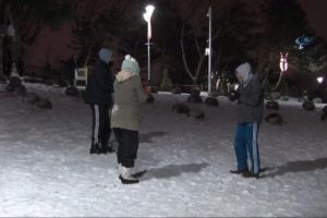 Soğuk havada kar keyfi