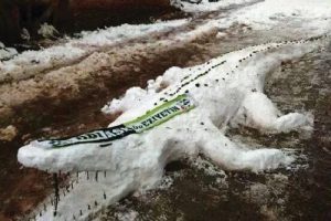 Kardan Timsah b&uuml;y&uuml;k ilgi g&ouml;rd&uuml;!