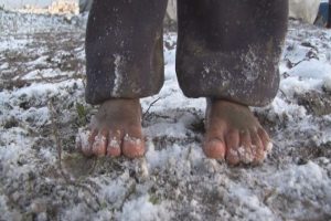 Sibirya soğukları en &ccedil;ok onları vurdu