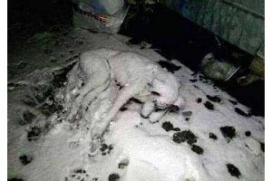Bu fotoğraf sosyal medyayı sarstı