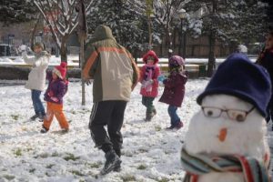 Diyarbakır'da kar &ccedil;ocukları sevindirdi
