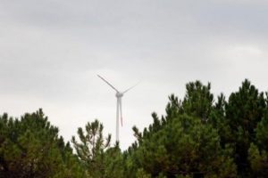 T&uuml;m elektrik ihtiyacını r&uuml;zg&acirc;rdan karşılayan ilk kamp&uuml;s