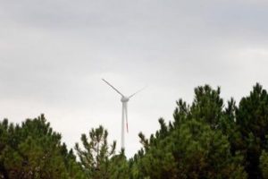 T&uuml;m elektrik ihtiyacını r&uuml;zgardan karşılayacak