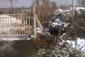 Bursa'da insanlık ayıbı