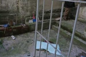 Vahşet! Oyuncak bebek sandılar ama...