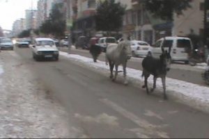 Trafikte komik kovalamacası