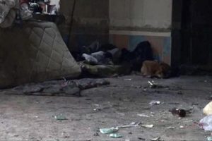 En sadık dostu &ouml;l&uuml;m&uuml;nde bile yalnız bırakmadı