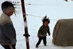 14 kişi donarak &ouml;ld&uuml;