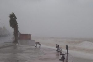 Tsunami gibi !